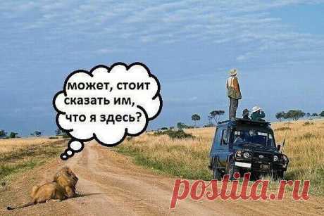 (77) Одноклассники