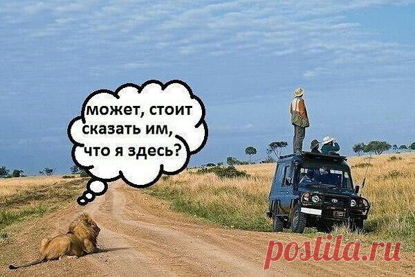(77) Одноклассники