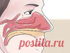 простуда | Фотографии и советы на Постиле