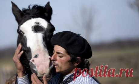 МАГИЯ ДОБРА: ЗАКЛИНАТЕЛЬ ЛОШАДЕЙ