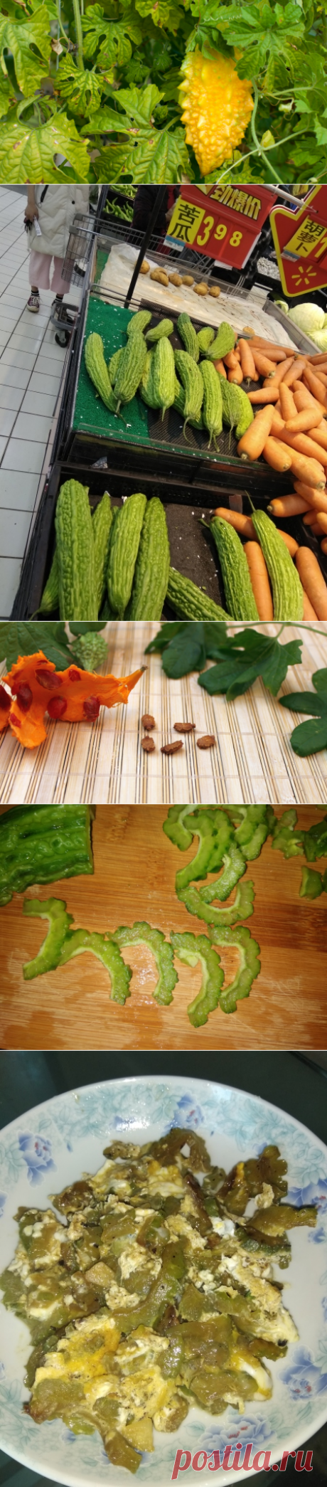 Китайская кухня: как готовят горькую дыню - момордику? | Еда и кулинария