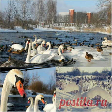 Super Miestas - Marijampolė