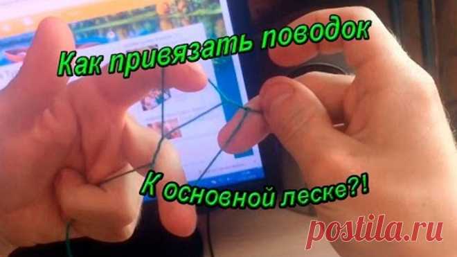 (12) Одноклассники