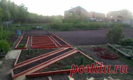 Записки старого ворчуна (продолжение) благоустройство участка