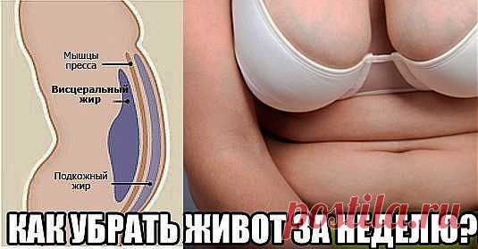 Энциклопедия мудрой хозяйки