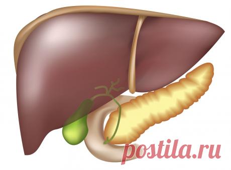 Очищение печени народными средствами