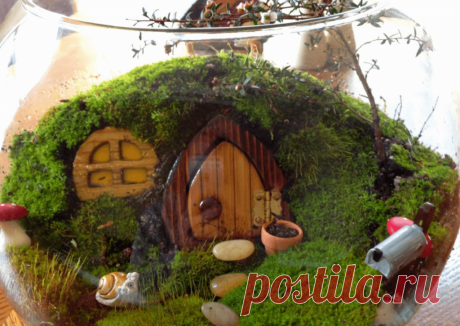 Флорариумы: виды, описание, идеи оформления ~ Planetalsad