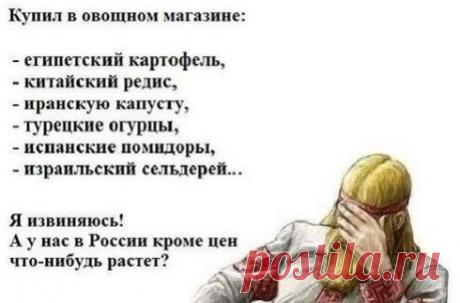 Наша дача без нас плачет ♥ Советы-Дизайн-Рецепты