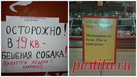 25 уморительных объявлений: так могли написать только наши люди! (25 фото) | Чёрт побери Очередной сборник лингвистически-рекламных перлов, встречающихся в нашей повседневной жизни и поднимающих настроение своей несуразностью и юмором. Желаю приятного просмотра и хорошего настроения! Походу, у ребят на выходных была своя атмосфера Продавец этого магазинчика, наверное, бывший препод по маркетингу Мы знаем, что тебе нужна работа Лифтик, не болей! Почувствовать себя на высоте...