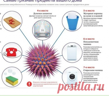 ВАЖНО! Самые грязные места и предметы в доме!
