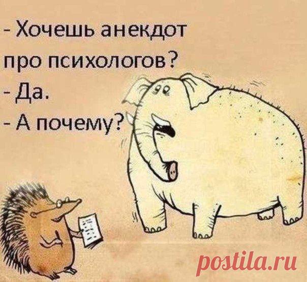 Шутки и анекдоты из палаты №6;))