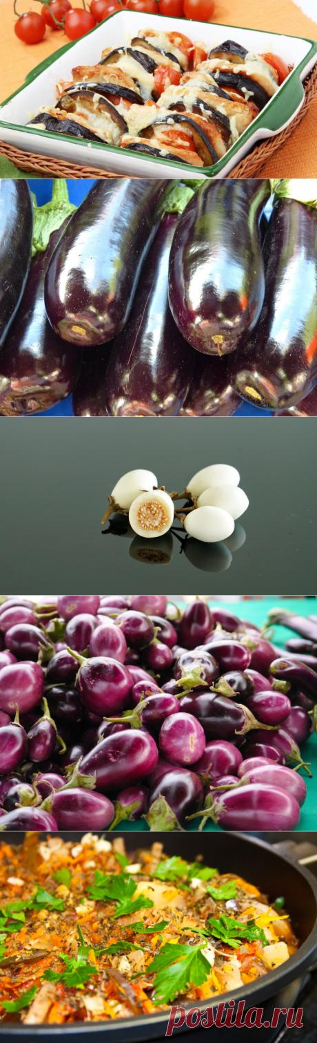 Чем хороши баклажаны и как их запечь в духовке? | Еда и кулинария