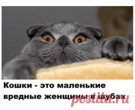 Человек выходит из аптеки. Его доганяет запыхавшияся аптекарша...