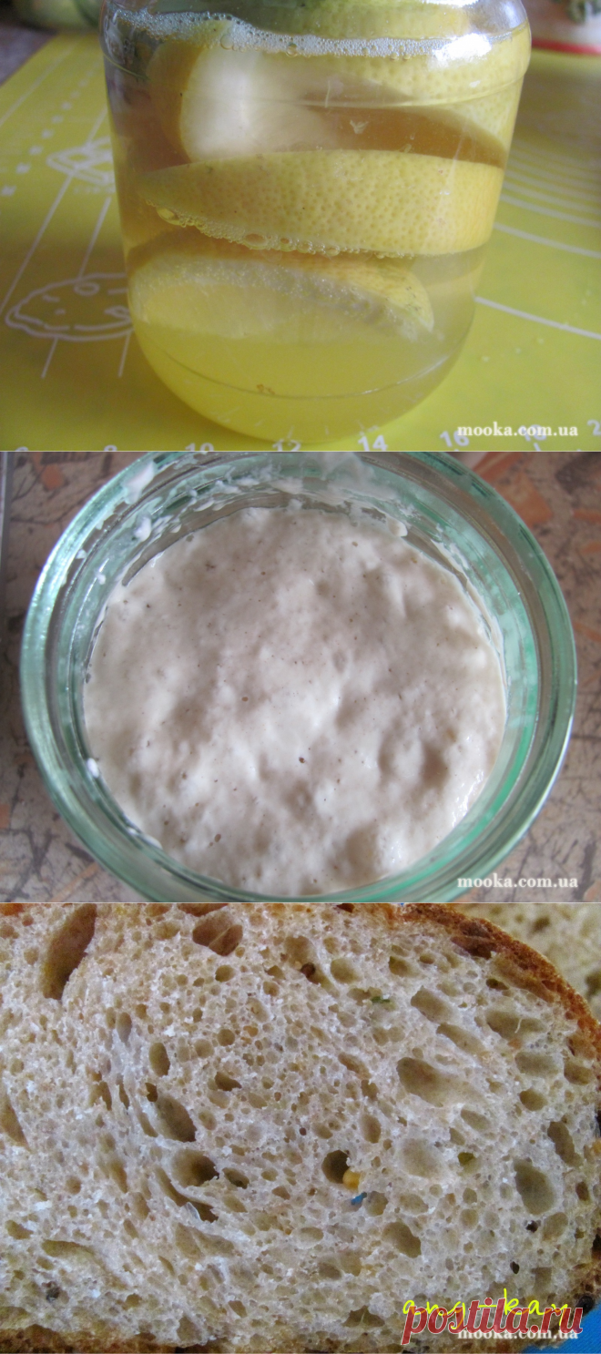 Дрожжи лимонные и закваска на них