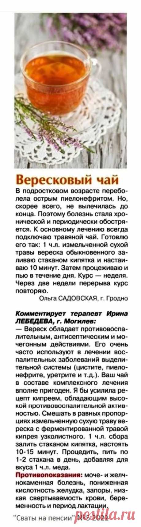 Вересковый чай для лечения заболеваний выделительной системы