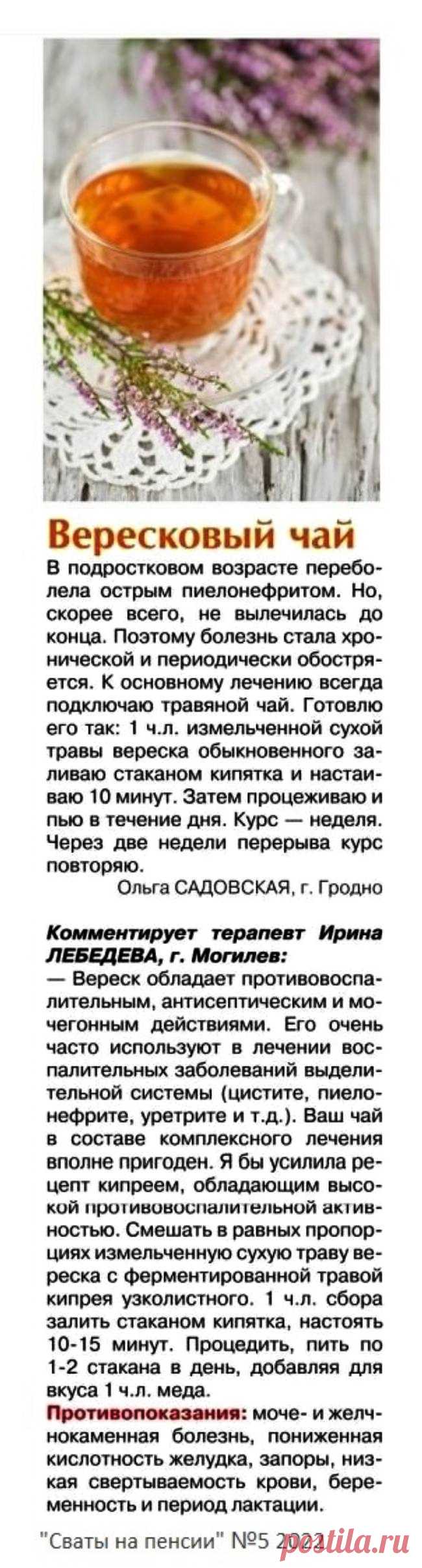 Вересковый чай для лечения заболеваний выделительной системы