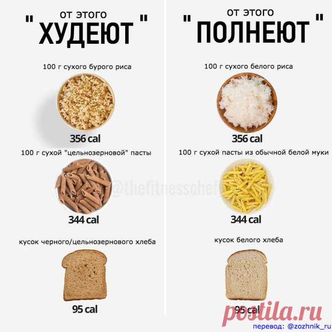 10 наглядных картинок о калориях – Зожник