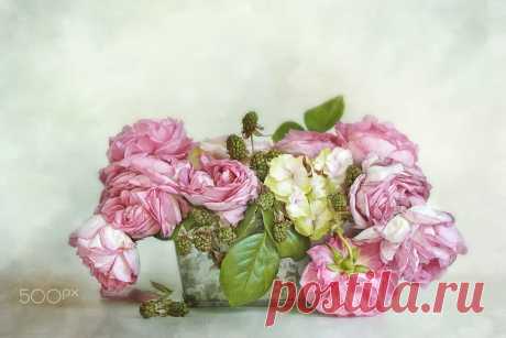 roses&berries