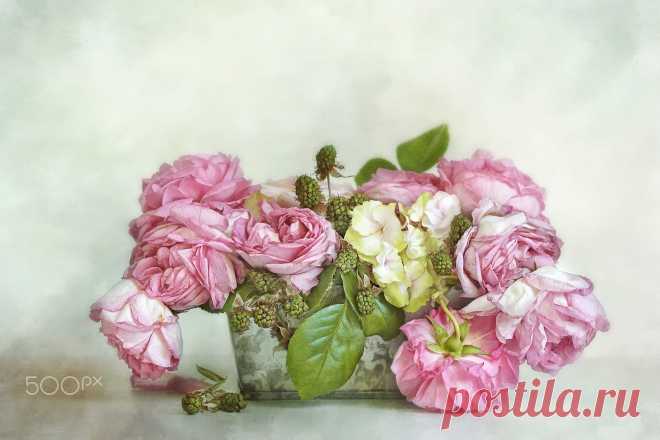 roses&berries