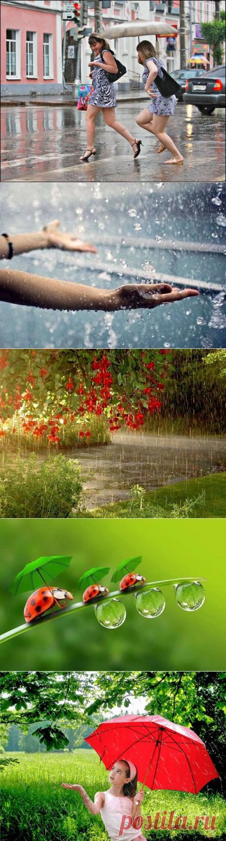 ...ЗА ОКОШКОМ В ЧАС РАССВЕТА ДОЖДИКОМ СТЕКАЕТ ЛЕТО...