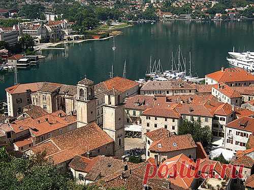 Kotor