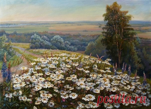 (51) Одноклассники
