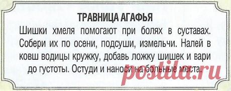 Шишки хмеля при болях в суставах