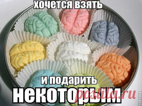 Чем отличаются наши мозги...