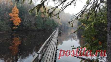 (7) Мой Мир@Mail.Ru