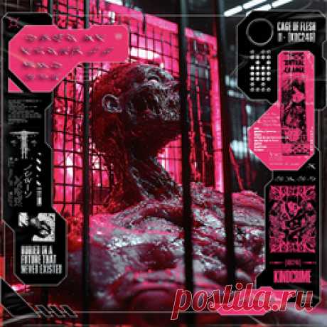 VA - Cage Of Flesh II (2025)