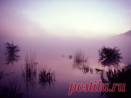 Сиреневый туман - КРАСИВЫЕ КАРТИНКИ. ВИДЕО. МИР, В КОТОРОМ МЫ ЖИВЕМ! - Группы Мой Мир