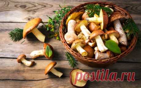 Grybų receptai - 39 idėjos žiemai ir kasdienai! | La Maistas