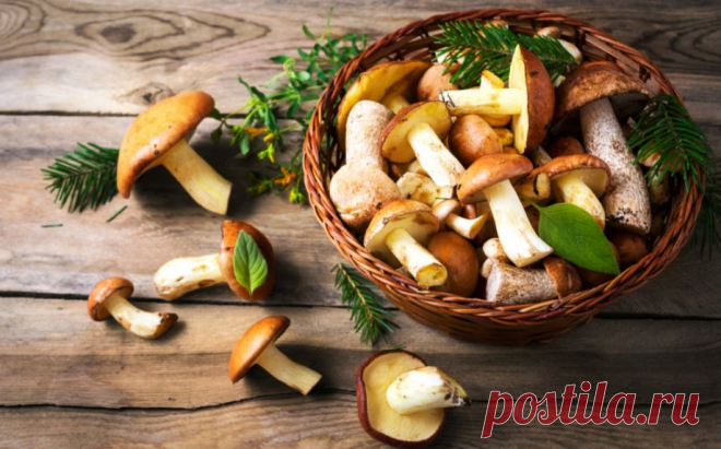 Grybų receptai - 39 idėjos žiemai ir kasdienai! | La Maistas