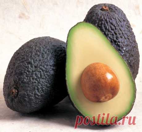 La Collina – Una Scelta Naturale