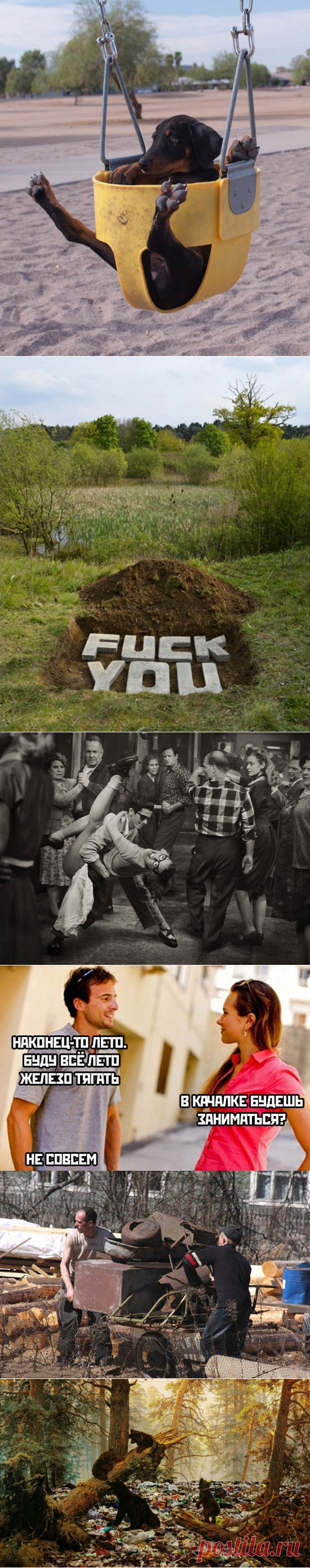 Подборка прикольных картинок и фотографий-232