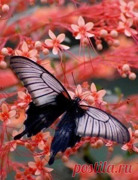 Интересные новости