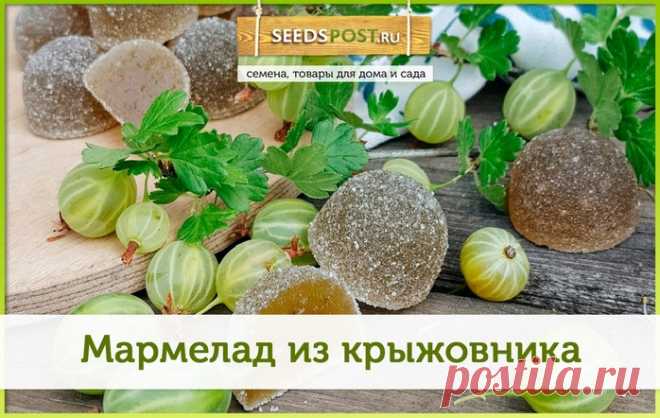 Любите мармелад?