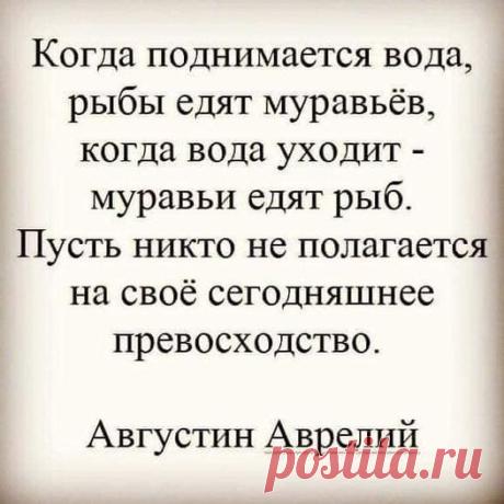 (20+) Facebook