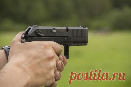 Змеи в кобуре: от «Гюрзы» до «Полоза»