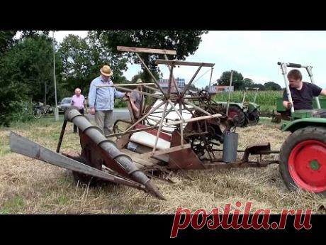 Бизнес по-казахски:
Покупает один казах у другого трактор. Договорились по цене, ударили по рукам, сделка завтра... и первый пошел искать деньги, второй - трактор. 😜 😎 😂
#агротехника #сельхозтехника #сельхозмашины #youtube