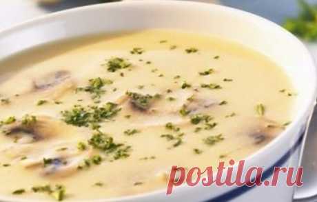 ТОП-5 ВКУСНЫХ И НЕ КАЛОРИЙНЫХ СУПОВ-ПЮРЕ 

1. Суп-пюре с грибами 
На 100 грамм - 64.43 ккал
Б/Ж/У - 3.19/3.13/6.66
Показать полностью…