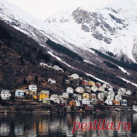 Reine / Удивительное искусство