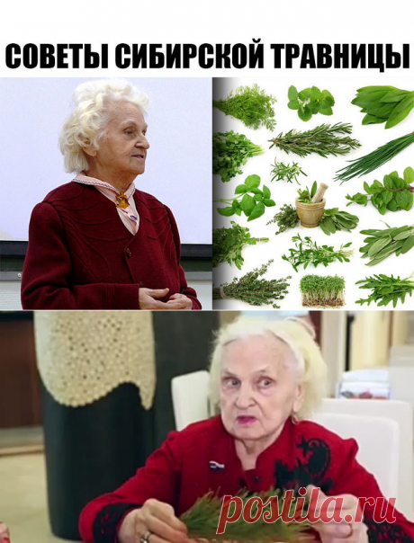 ЖИВОЕ ЛЕЧИТСЯ ЖИВЫМ.
