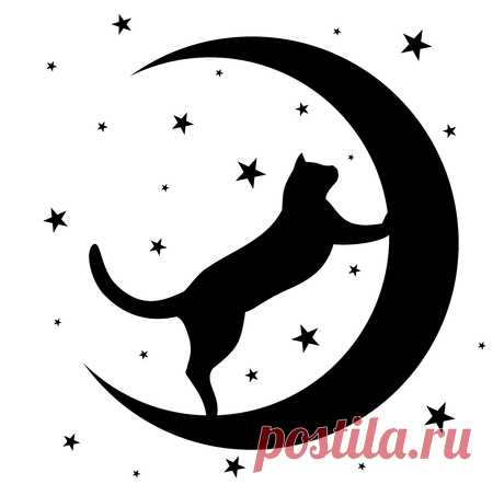 спящий котенок на луне клипарт - 419 тыс. картинок - Поиск Mail.Ru