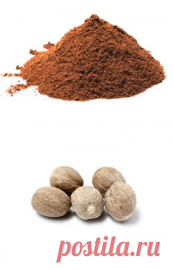 Мускатный орех купить в Москве | Шеф Орех