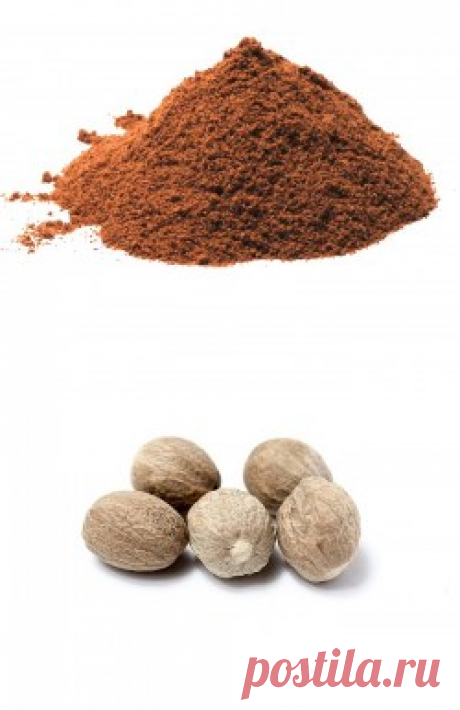 Мускатный орех купить в Москве | Шеф Орех