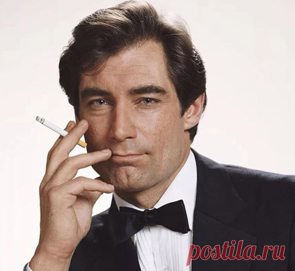 Разбивал женские сердца, пока не встретил славянскую девушку. Факты о жизни «Ретта Батлера» Тимоти Далтона