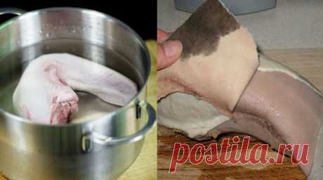 Дізнайтеся секрети приготування язика. Ось як це зробити! – Shponder