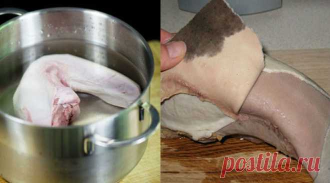 Дізнайтеся секрети приготування язика. Ось як це зробити! – Shponder