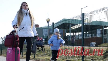 Украинская беженка призвала соотечественников в Ирландии искать работу. Украинцам в Ирландии нужно идти на работу, а не довольствоваться пособием. Об этом заявила беженка Ирина Мажак изданию Irish Times. В публикации уточнили, что гражданка Украины покинула Киев в мае 2023 года. Женщина отметила, что Дублину ...